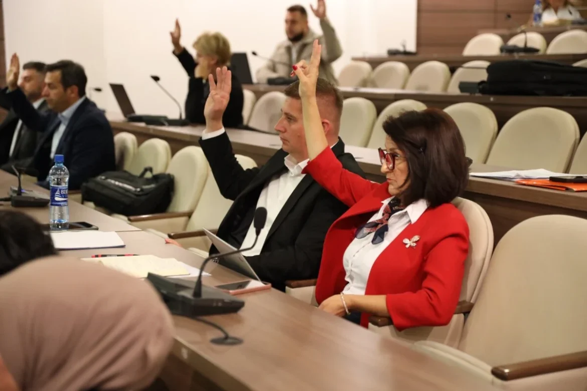 opcinski vijece ilidza rebalans budzeta